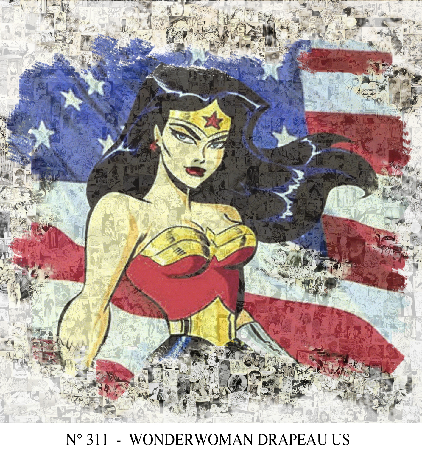 311 - WONDER WOMAN DRAPEAU US.jpg